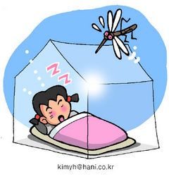 모기아트 이미지