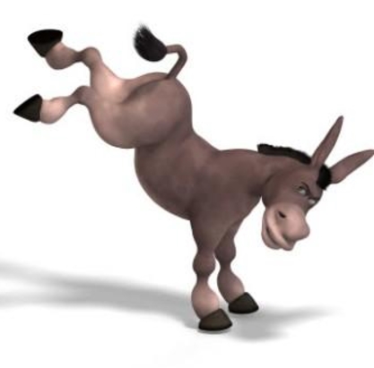 덩키 이미지