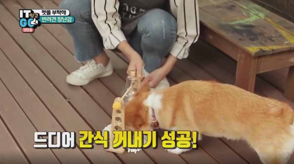 간식자판기 이미지