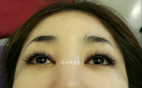 박자매살롱 이미지