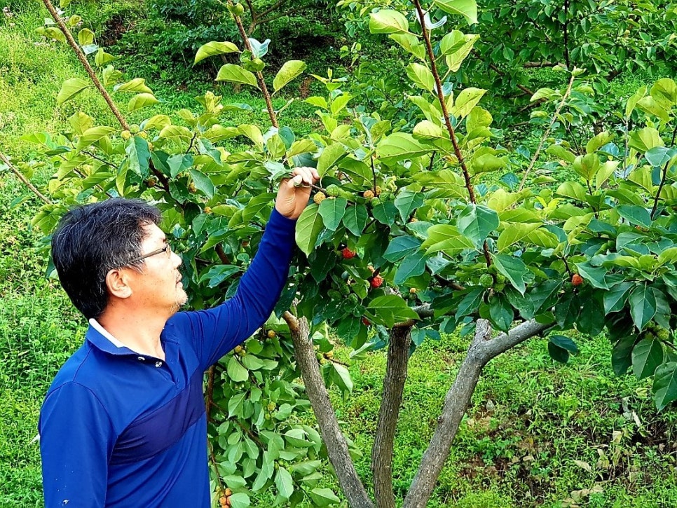 지리산 산골농원 이미지
