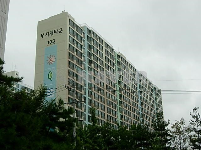 무지개전기조명 이미지