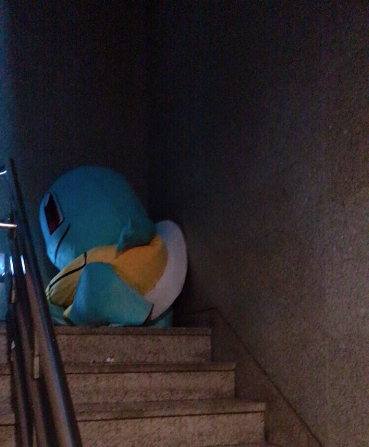 거북이의기적 이미지