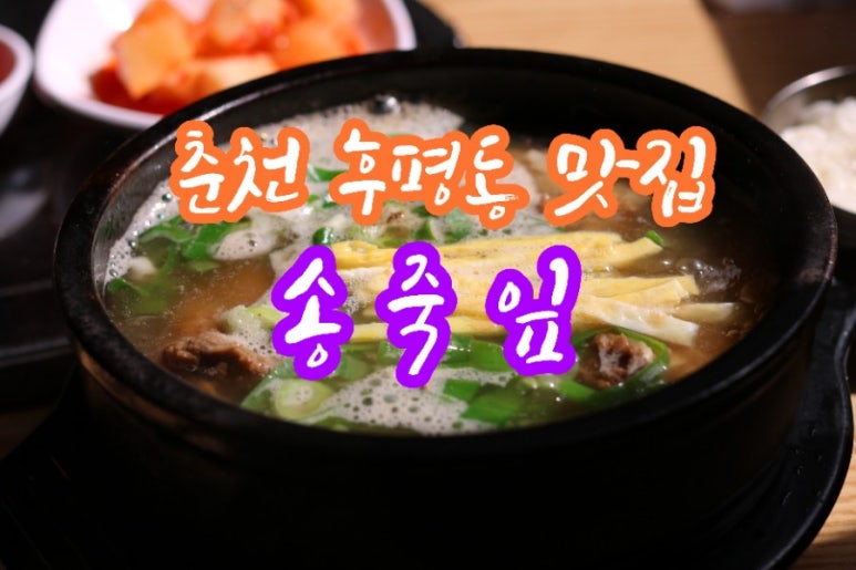 송죽잎 이미지