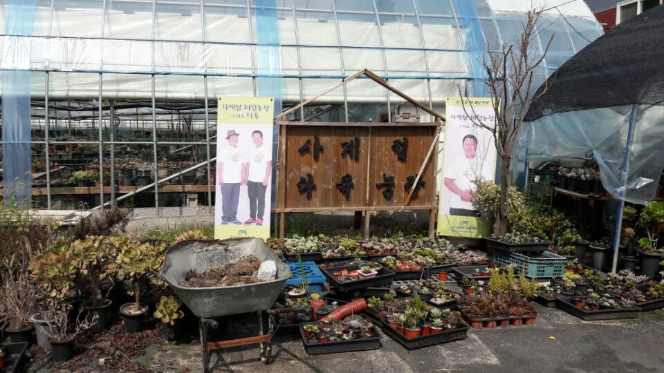 사계절다육농장 이미지