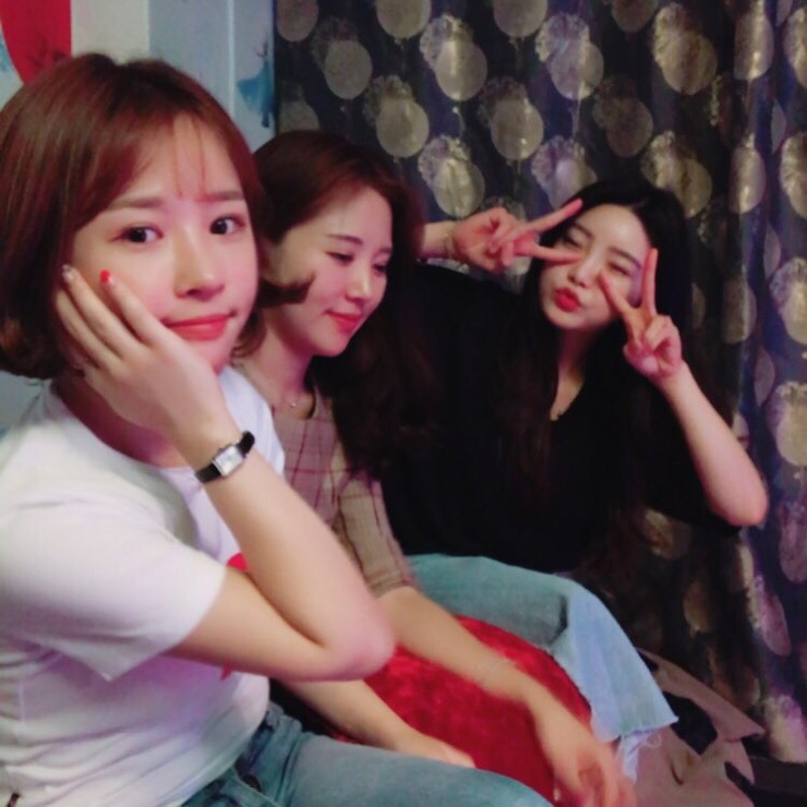 지데이 이미지