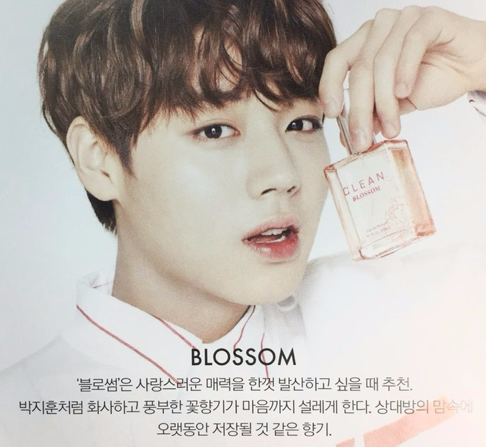 원클린 이미지