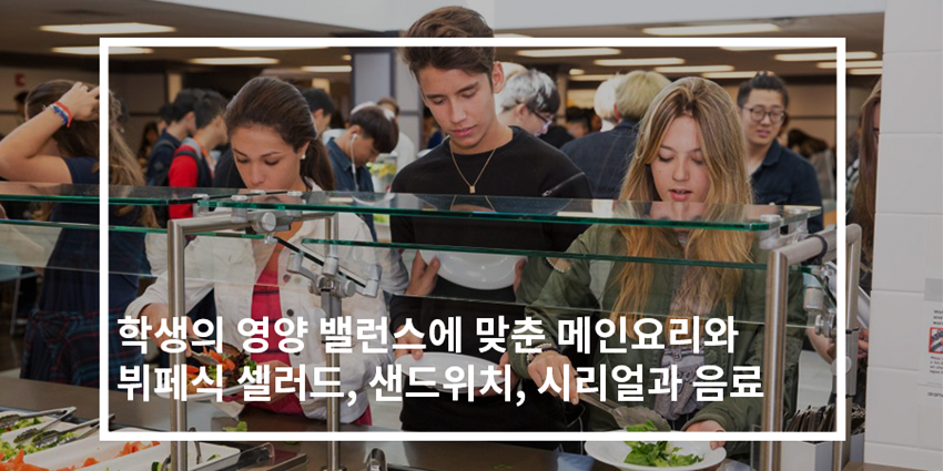 샐러드캐츠 이미지