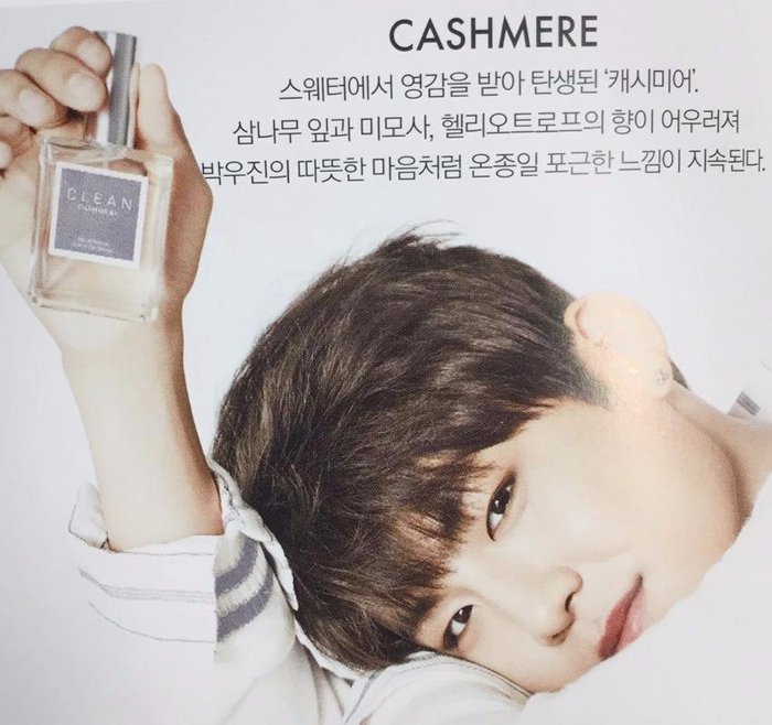 워너클린 이미지