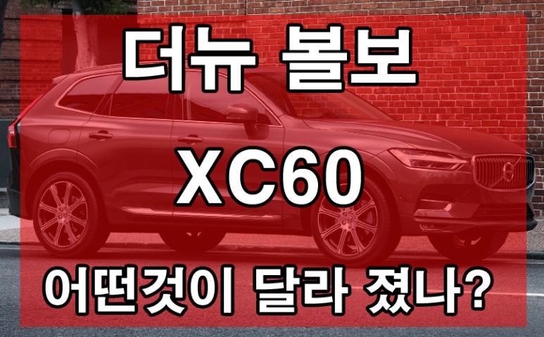 베스트바이카 이미지