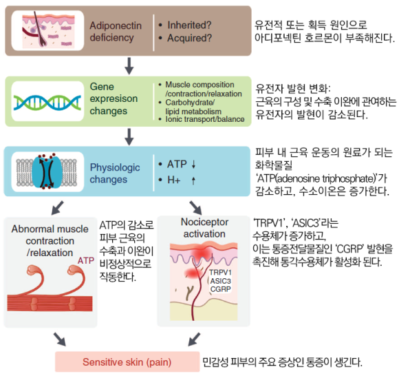 정피부 이미지