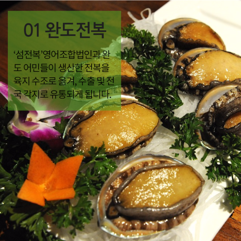 섬전복영어조합법인 이미지