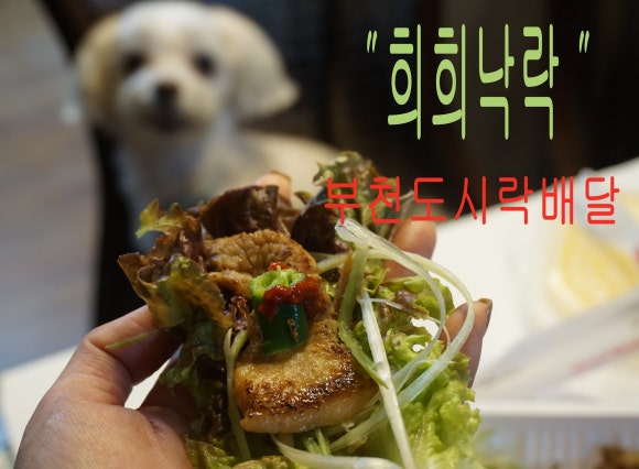 햇님이도시락삼겹살 이미지