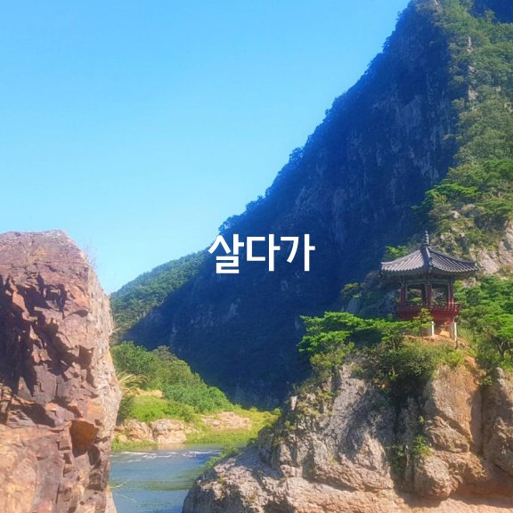 건강은 타이밍이다 이미지