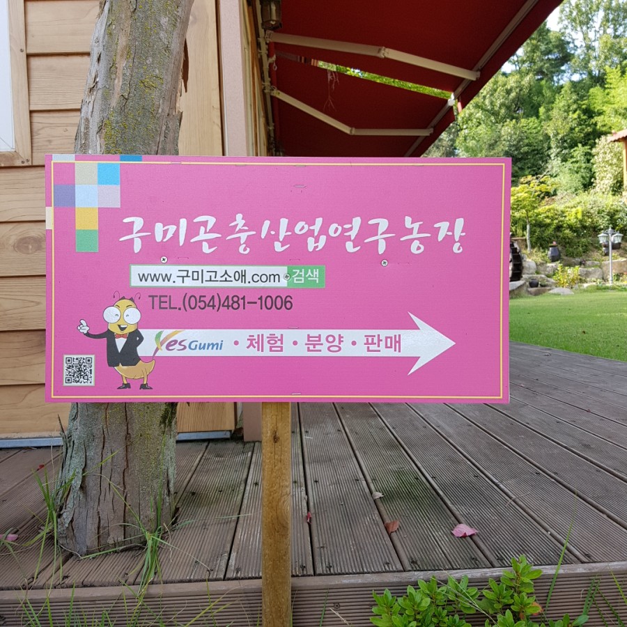 구미곤충산업연구농장 이미지