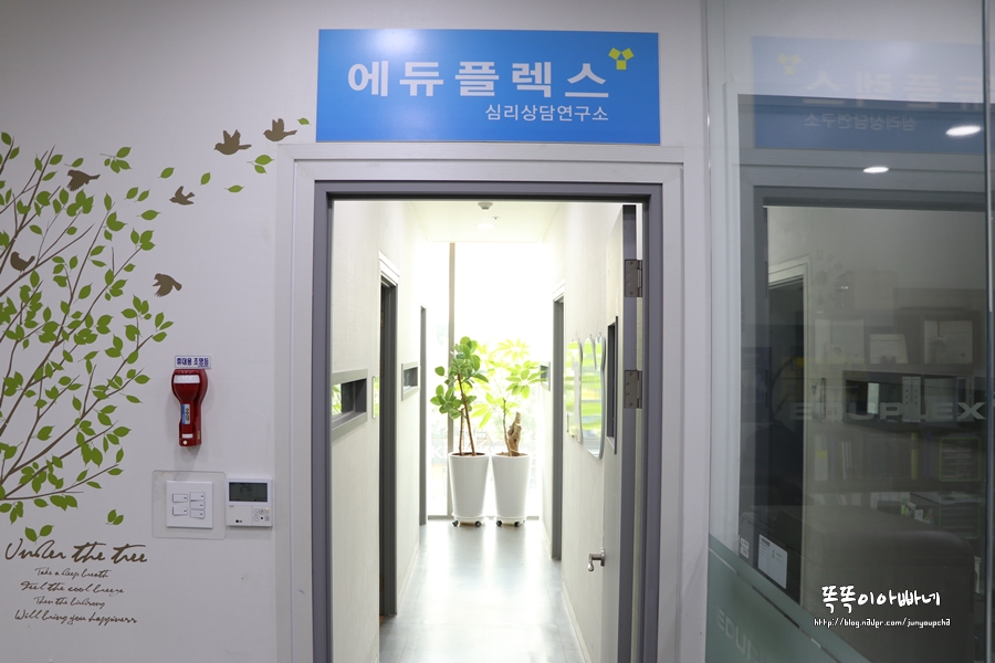 에듀플렉스심리상담연구소 이미지