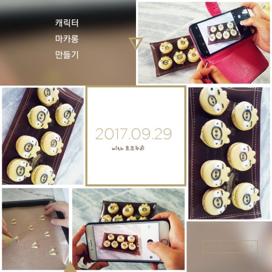 초코누리 이미지