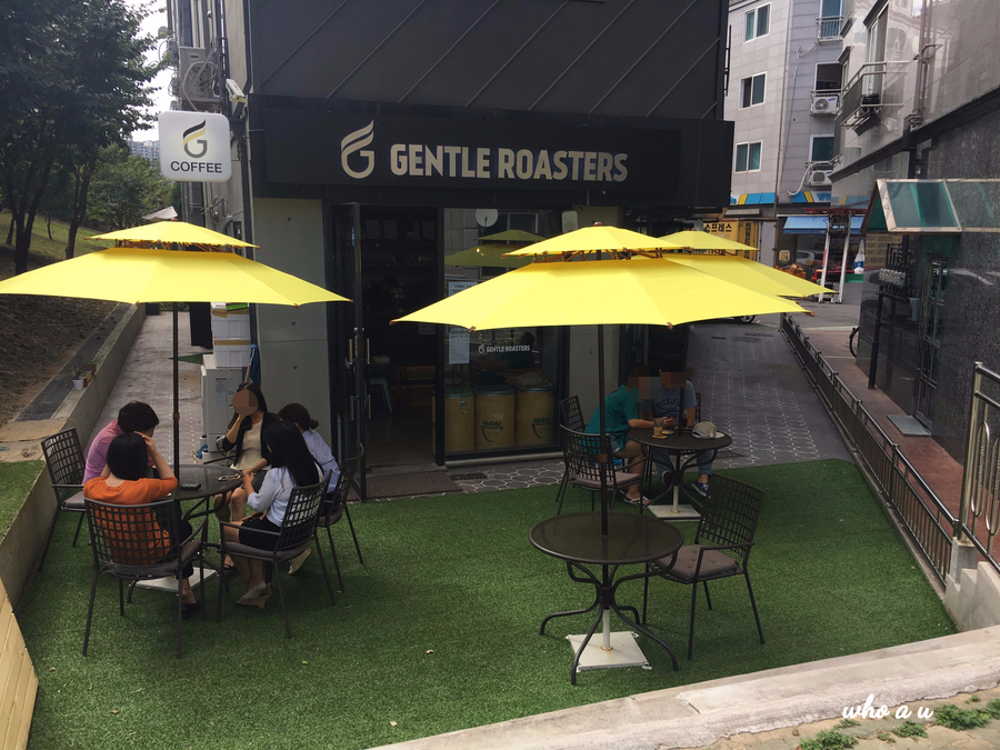 젠틀로스터스 이미지