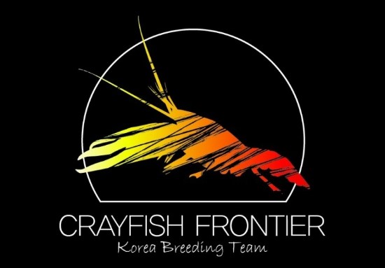 더고스트프로젝트 이미지
