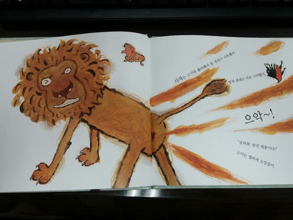 소미네일 이미지