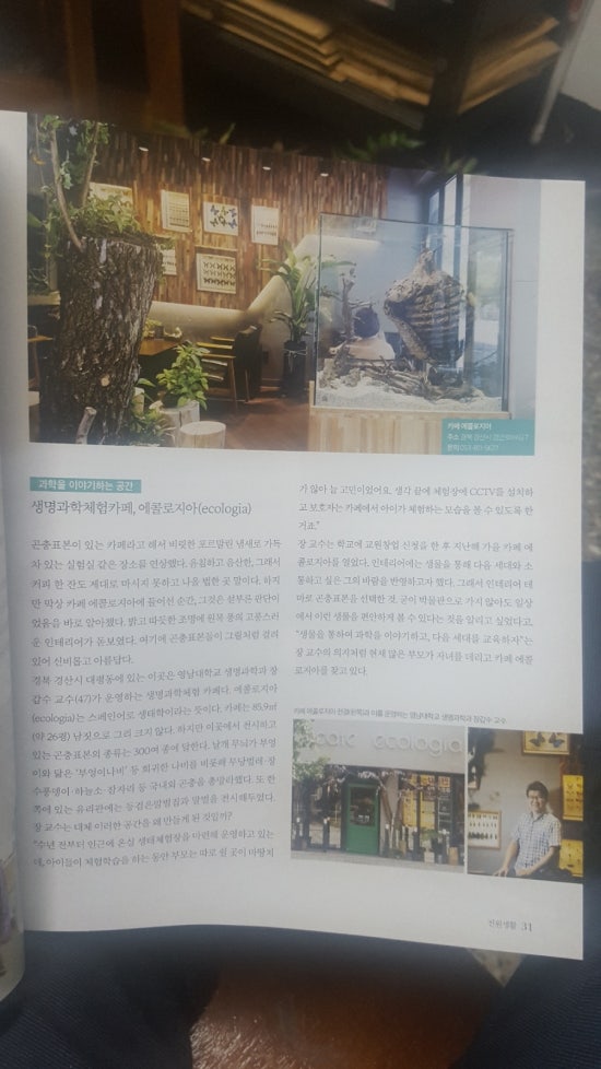 에콜로지아 이미지