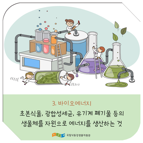 버드에너지 이미지