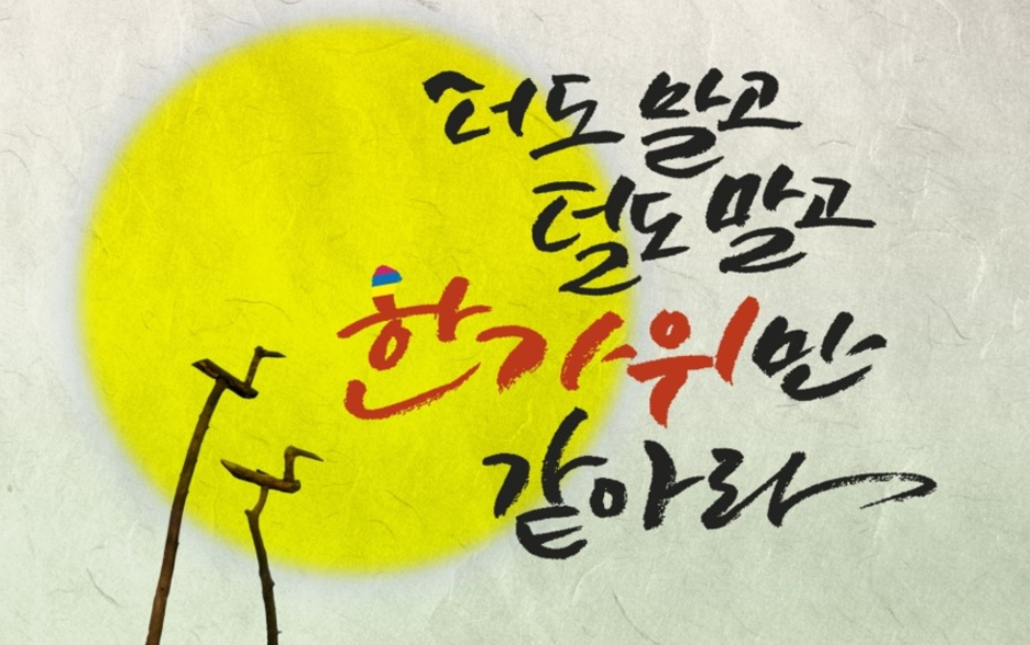 에코스디테일 이미지