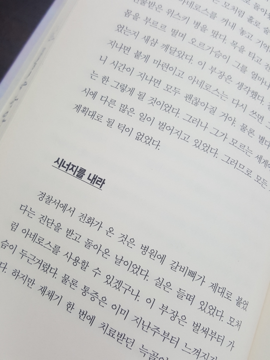 정석개발 이미지