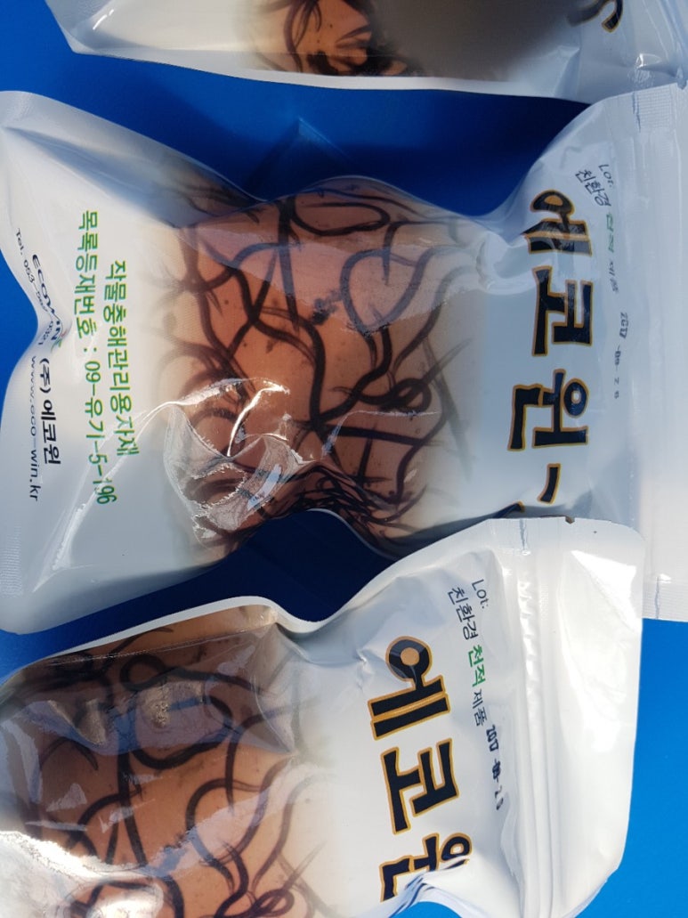 홍군농장 이미지