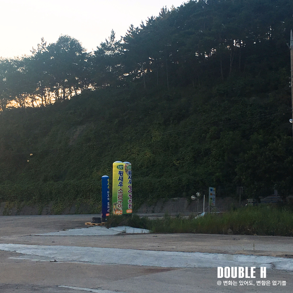 성호수산 이미지