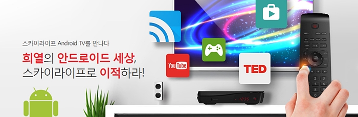 스카이라이프 이미지