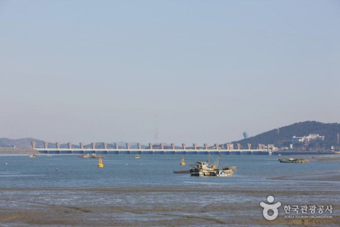두바퀴로달리는세상 이미지