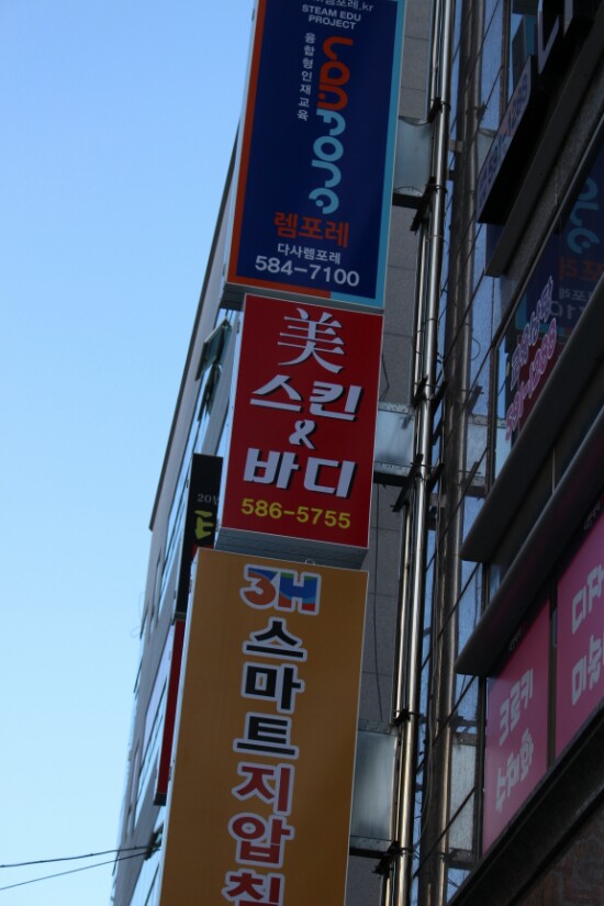 미스킨바디 이미지