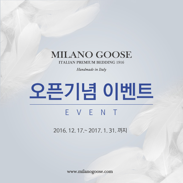 디자인이루다 이미지