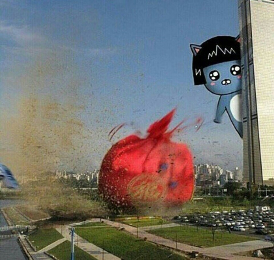가족장어 이미지