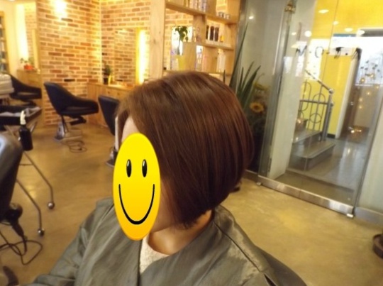 빈스헤어 이미지