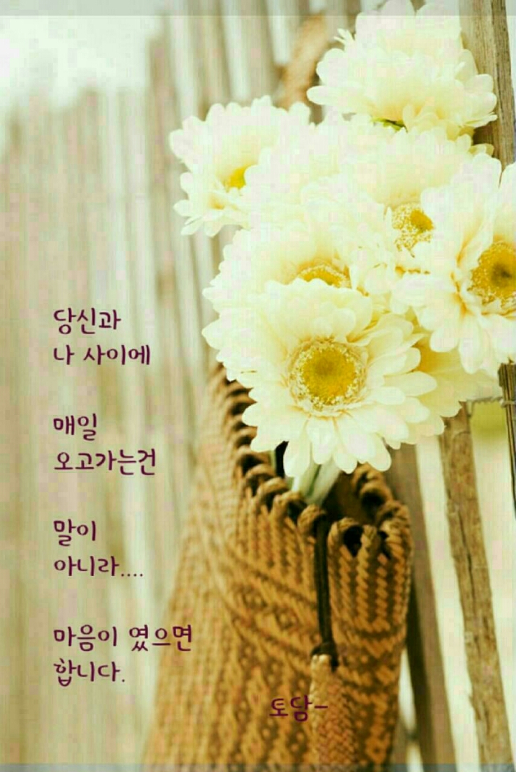 남천낙지 이미지