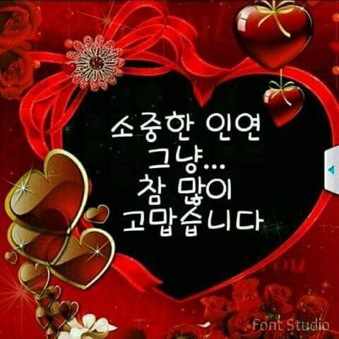 락헤어 이미지