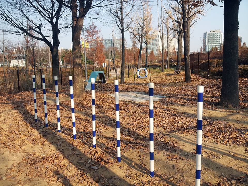 시온클린 이미지