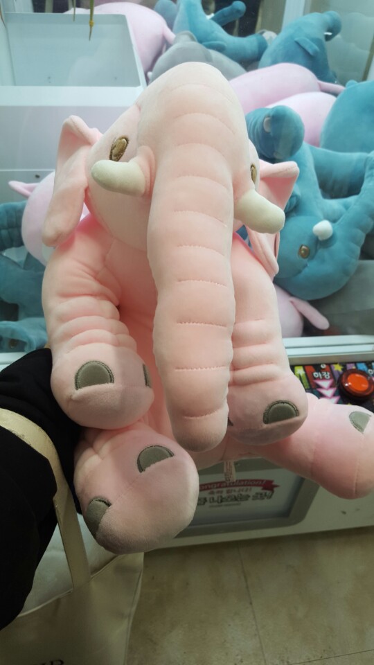 뽑아봅세 이미지