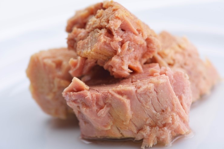 철참치 이미지