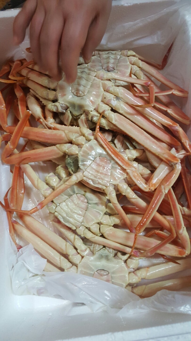 유정호대게 이미지