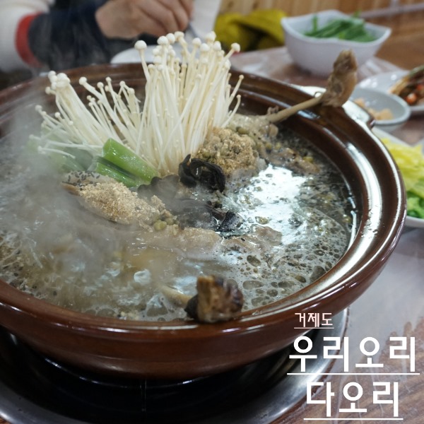 우리오리다오리 이미지