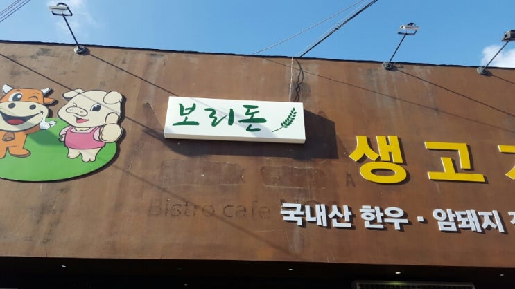 보리돈생고기 이미지