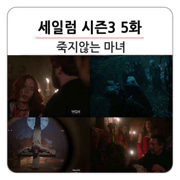 티투피 이미지