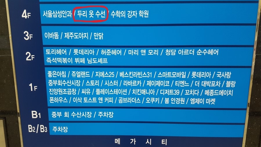 두리수선 이미지