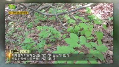 무한숯불닭구이 이미지