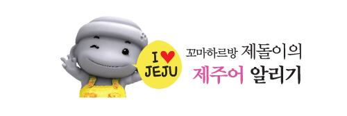 벨라지다 이미지
