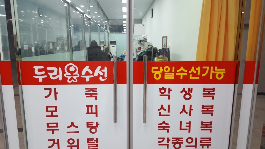 두리수선 이미지