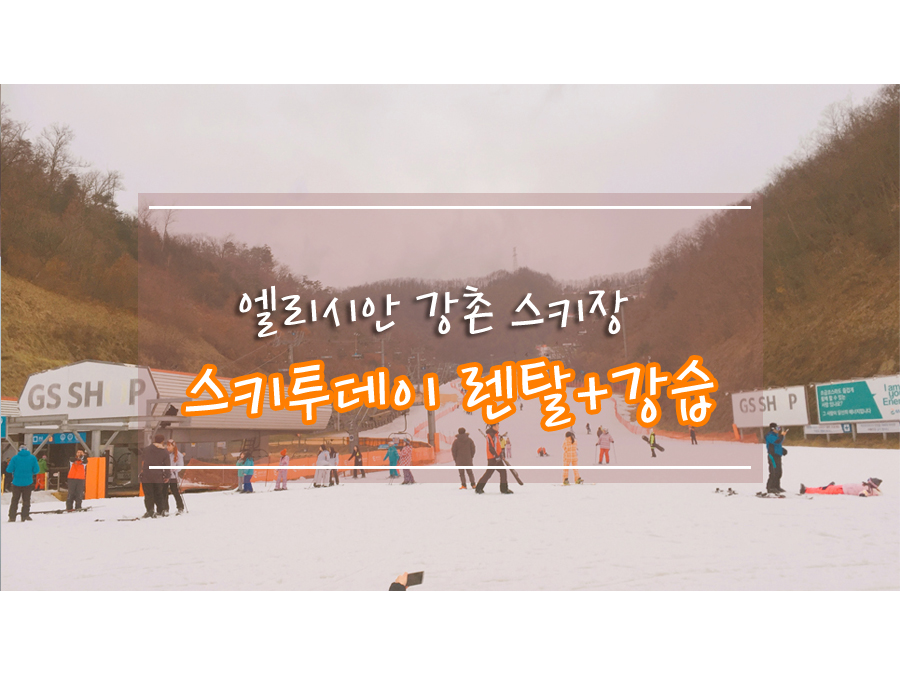 엘리시안강촌스키투데이렌탈샵 이미지
